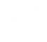 VINCENZO MEDIA